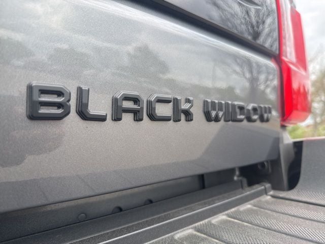 2025 Ford F-250SD Platinum