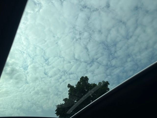 2023 Audi A5 Sportback 45 S line Premium Plus quattro