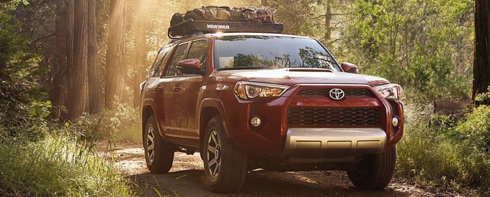 2019 Toyota 4Runner