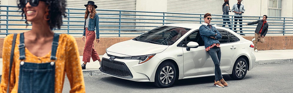 Toyota Corolla Hybrid Models 
