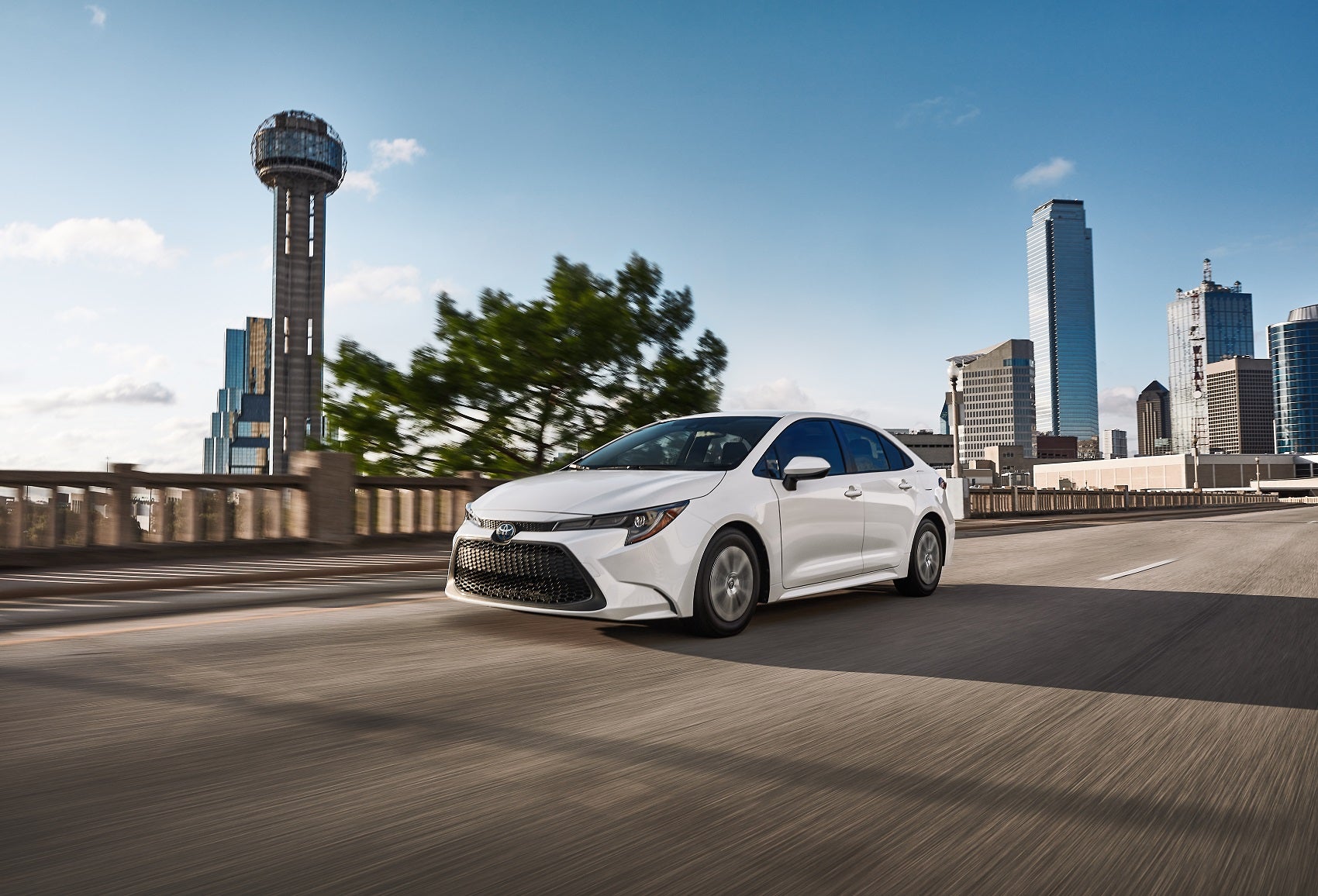 Living near Florence AL