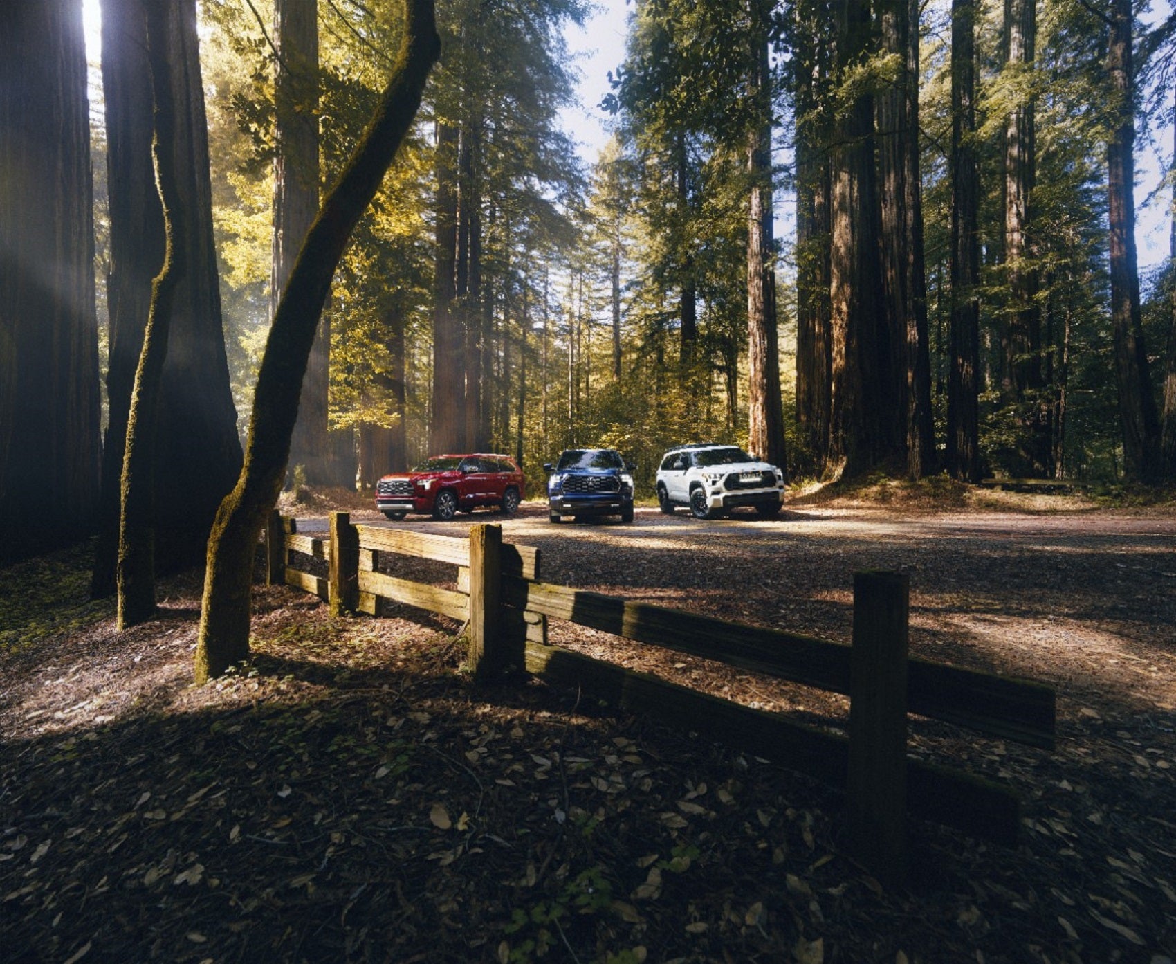 Experience Athens, AL 