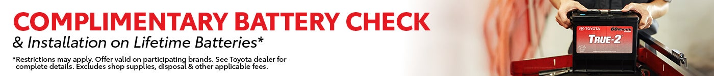 Banner image of Battery Special. Complimentary Battery check & installation of Lifetime Battery